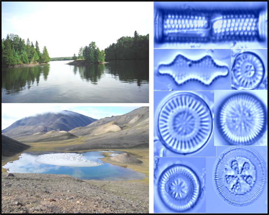 Lake and Diatom Image
