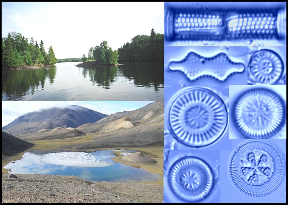 Photos clockwise from top-left: Lake of the Woods, Ontario - A.M. Paterson; assortment of diatoms
							- K. Rühland; ice on Skeleton Lake, Canadian Arctic - I. Lehnherr.