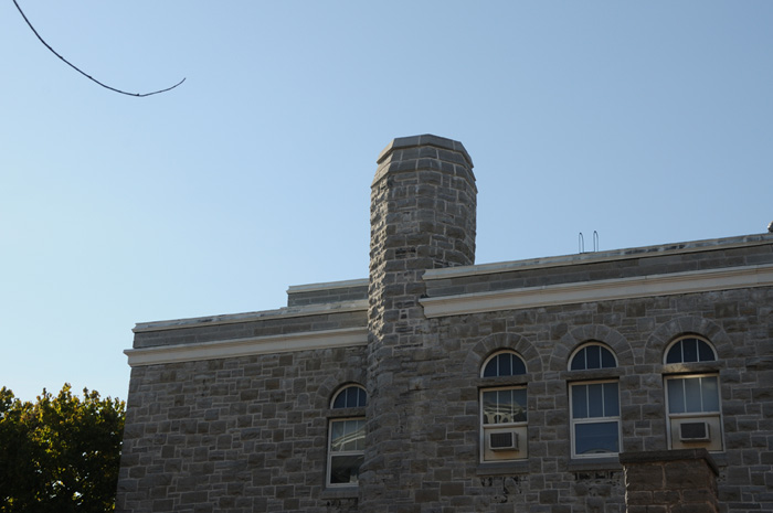 Swift in chimney photo credit Chirs Grooms