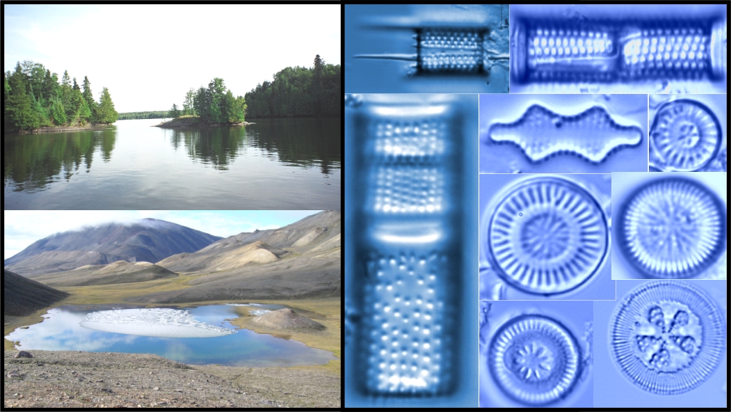 Lakes and Diatoms