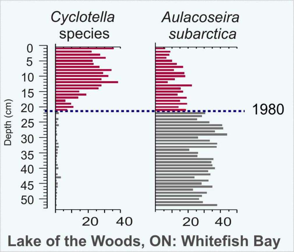 Whitefish Bay Cyclotella-Aulacoseira shift
