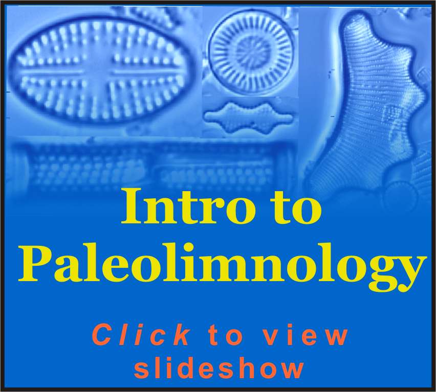 Lake of the Woods, Paleolimnology, Diatoms