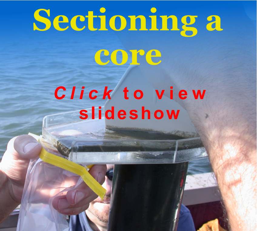 Sectioning a lake sediment core