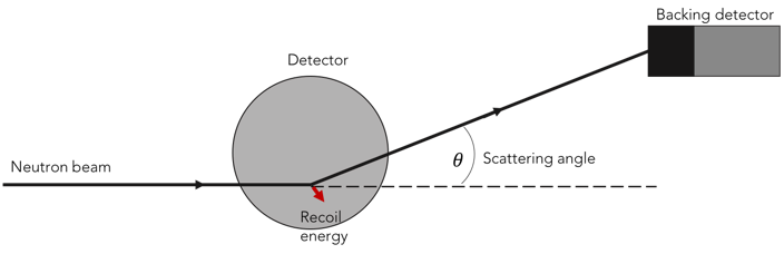 Neutrons scatter on gas atoms, creating nuclear recoils.