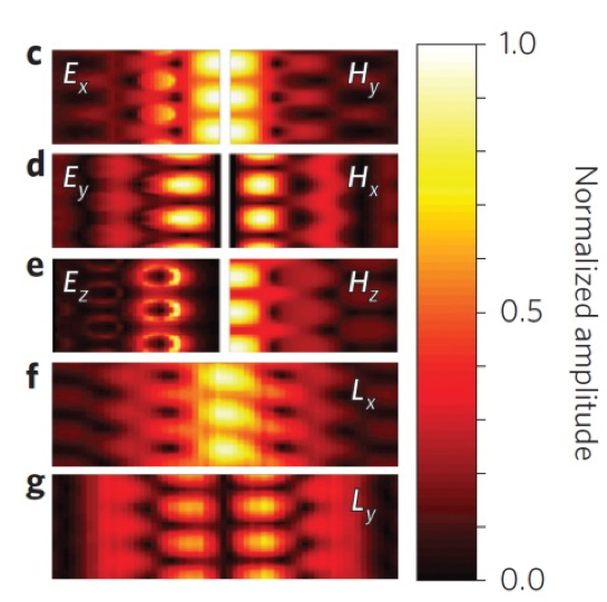 from article Simultaneous measurement of nanoscale electric and magnetic optical fields