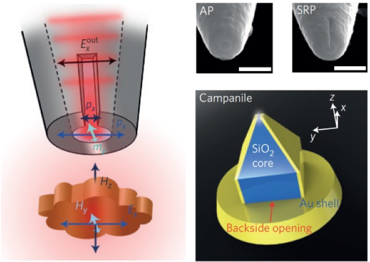 from article Mapping nanoscale light field