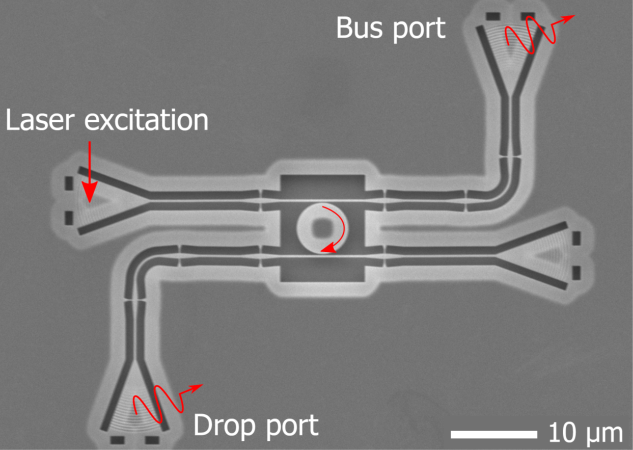 SEM of an Integrated whispering-gallery-mode resonator with embedded quantum dots