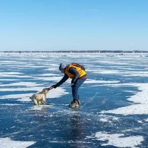 Professor Lawrence Widrow of Queen's University