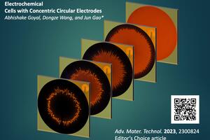 Prof. Gao and team's editor's choice publication called Extremely Large Polymer Light-Emitting Electrochemical Cells with Concentric Circular Electrodes