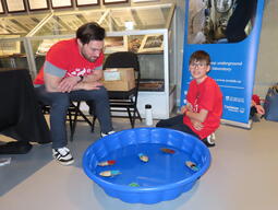 Candled powered steam boats in the Sensory Science zone at 2026 Science Rendezvous Kingston.