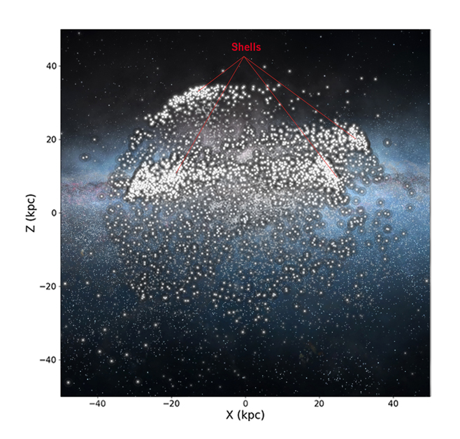 First time evidence of shell-like structures in the Milky Way