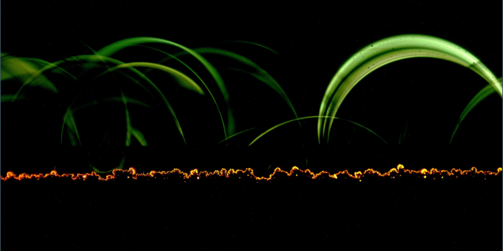 Magnetic influence. The green flashes exhibit curvature when the researchers apply a strong magnetic field—evidence that emitted electrons are causing the light display.