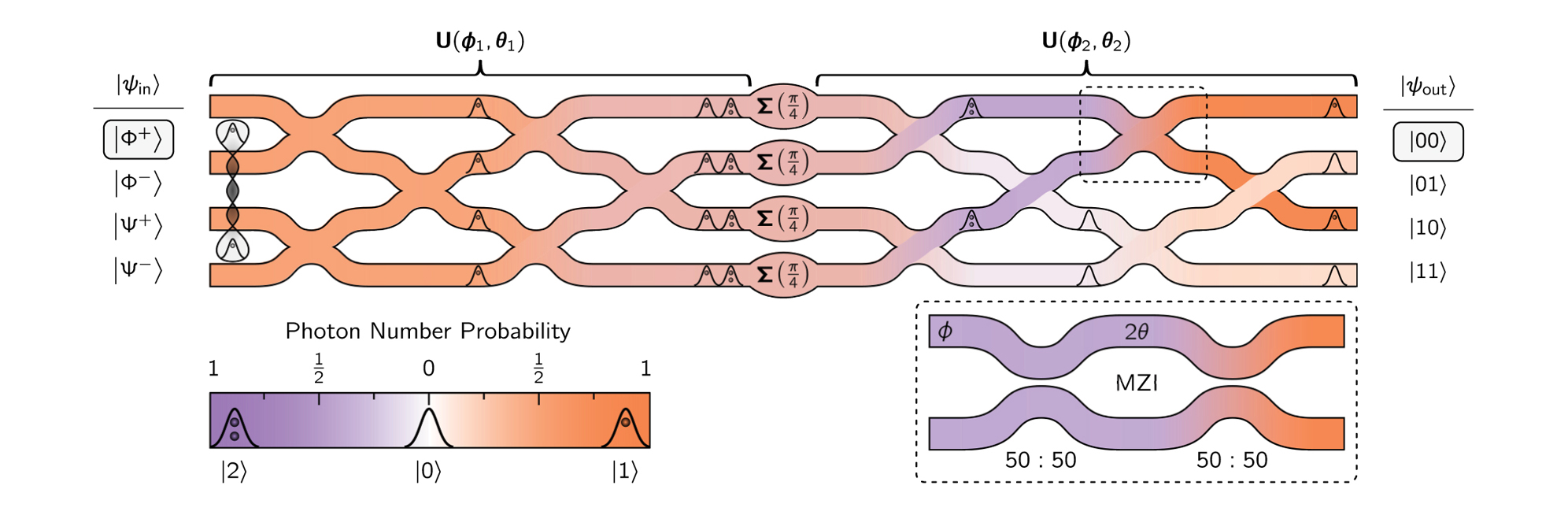 An imperfect quantum photonic neural network-based Bell-state analyzer with fabrication imperfections modelled after state-of-the-art silicon-on-insulator photonic elements (U, inset) and weak optical Kerr nonlinearities (Σ(π/4)). The network is trained to perform the input-output mapping of the Bell-state analyzer (see truth table) in the presence of all component-by-component errors, and thus learns to both overcome fabrication imperfections and get the most out of the available nonlinearities. The network is coloured to demonstrate the propagation of the single and two-photon-per-mode components when the first input of the truth table is incident. 