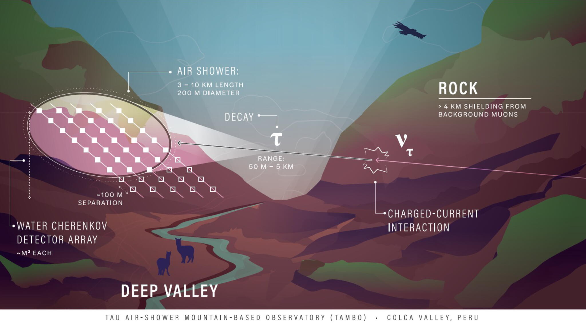 An Earth-skimming tau neutrino undergoes a charged-current interaction within the left canyon face, producing a tau lepton.