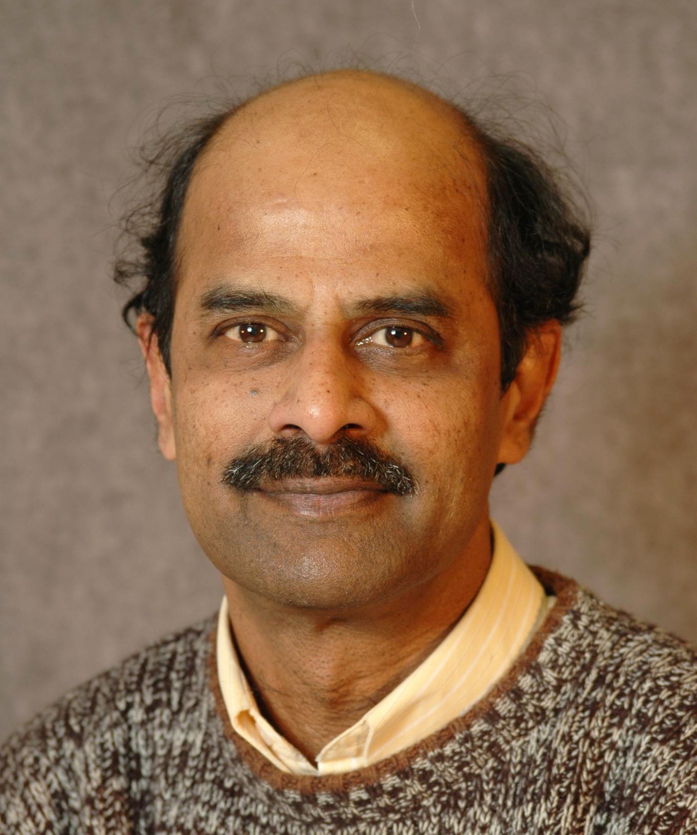 Prof. Somi Narayanan