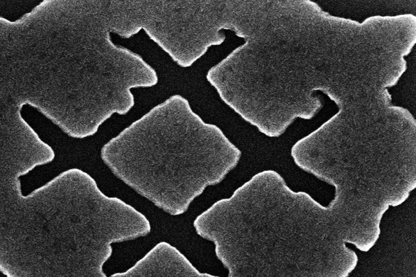 An example of a cross hatch (18 nanometers across) in the flower of the Queen's logo making it the smallest feature within the designs