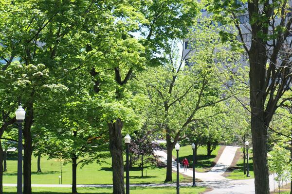campus in the spring