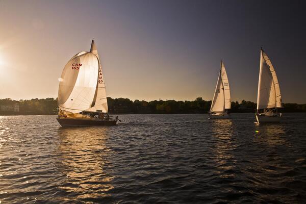 Sail Boats in Kingston