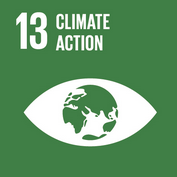 SDG 13 is climate action