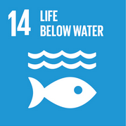 SDG 14 is life below water