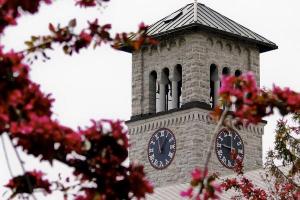 Grant Hall clock tower with spring blossoms in the foreground