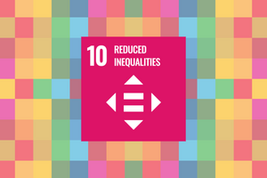 Grid of different coloured squares with a pink block in the middle that says 10 Reduced Inequalities