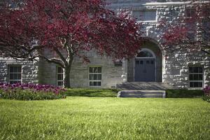 Agnes Benidickson Field