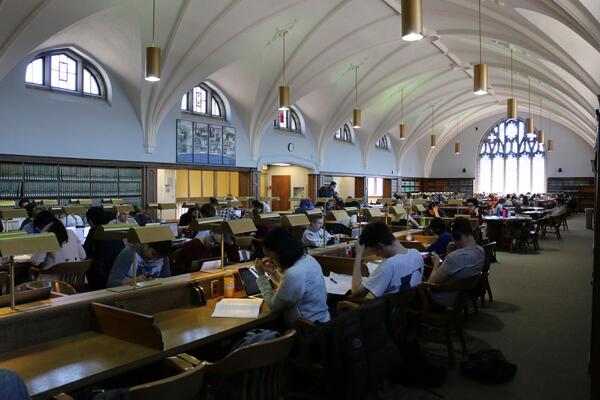 Students studying in library