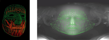 Full face mesh computerized face drawings
