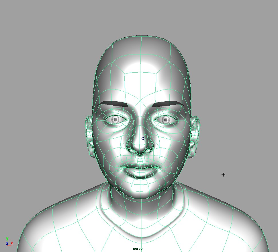 Digital face rendering with grid overlay