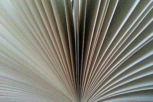 Close up of book pages
