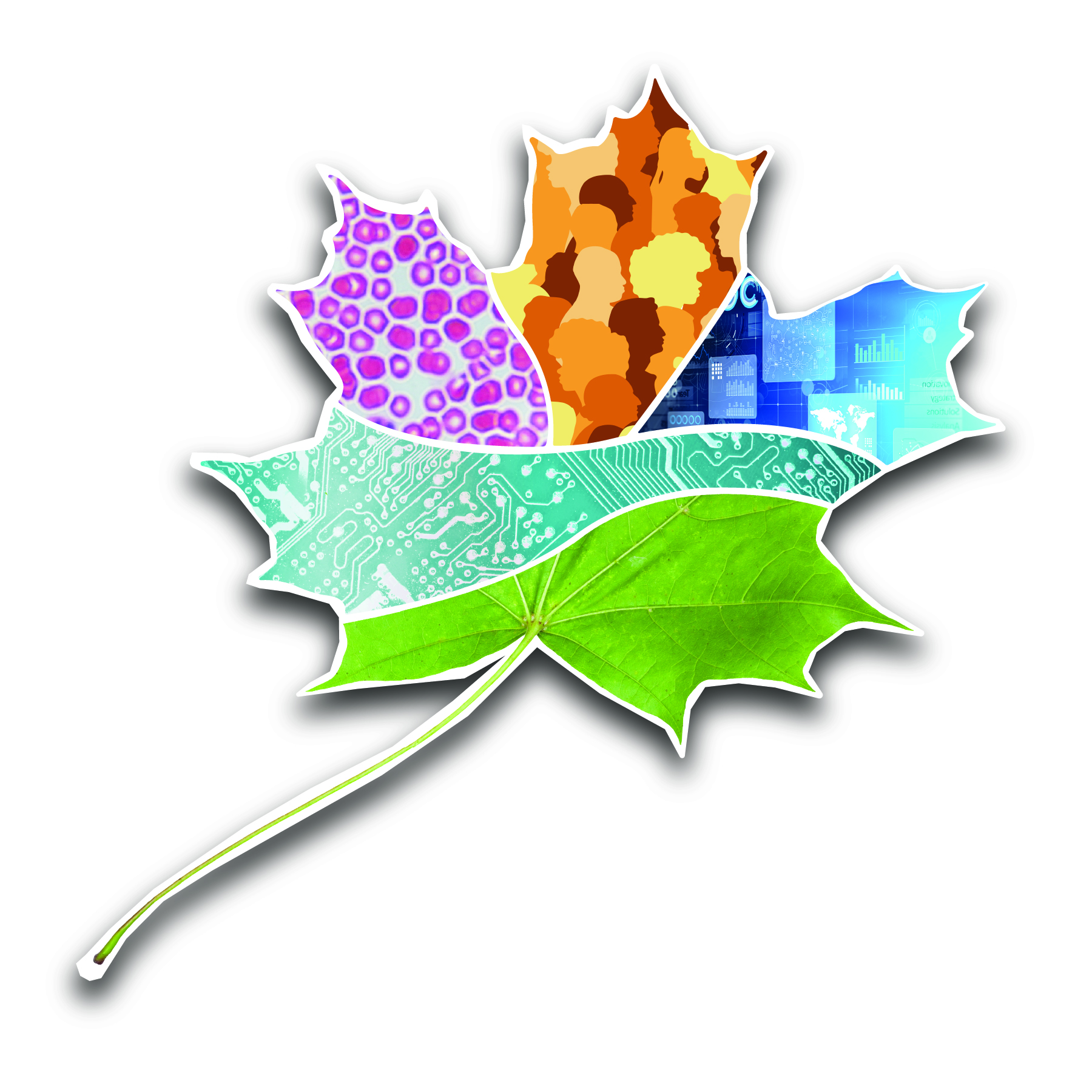 leaf graphic
