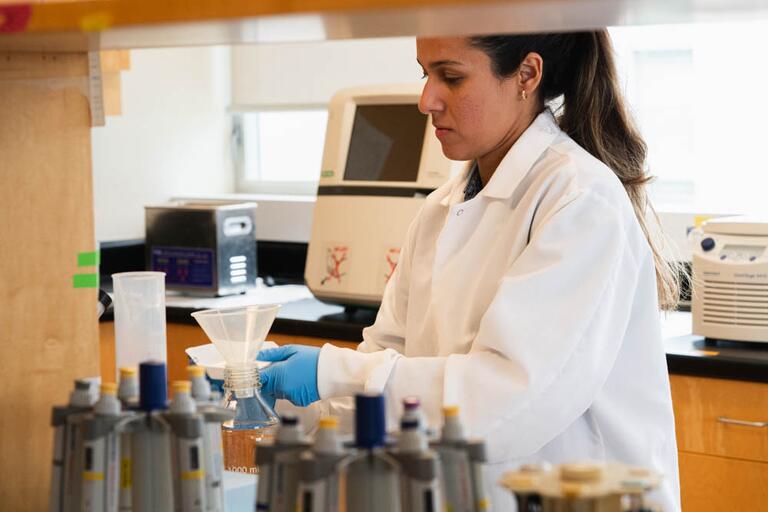 Graduate Student Working In Wet Lab