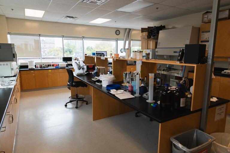 Muscle Biochemistry Lab: Wet Lab