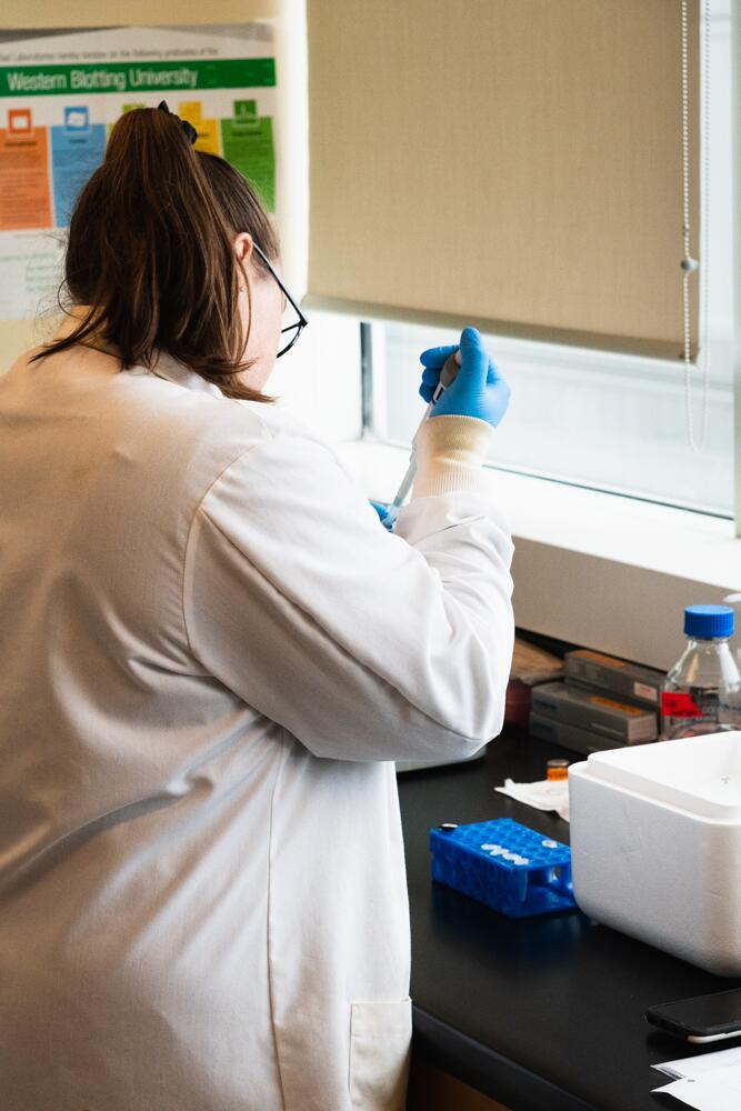 Graduate Student Working In Wetlab