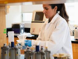 Graduate Student Working In Wet Lab