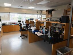 Muscle Biochemistry Lab: Wet Lab