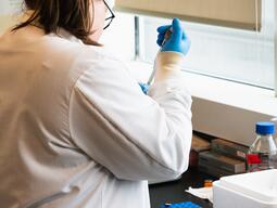 Graduate Student Working In Wetlab