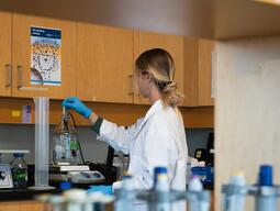 Graduate Student Working In Wet Lab
