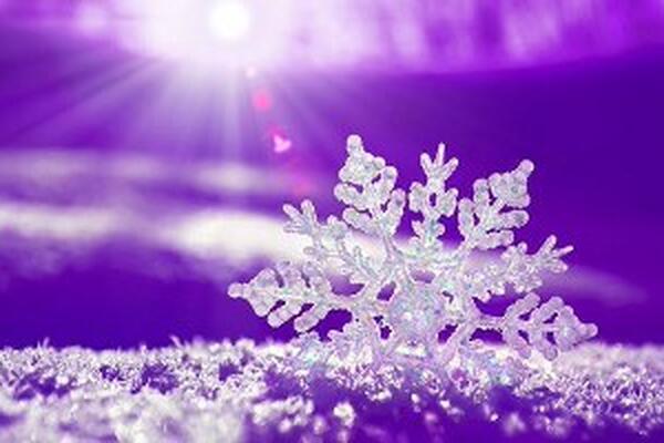 Snowflake | Faye Mozingo | Flickr