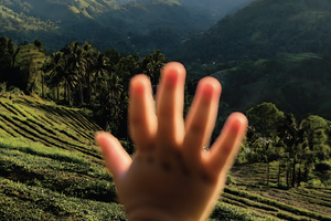 Winter 2025 - PW Jarungpiterah