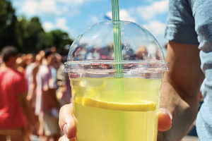 Fall 2025 - Theme Park