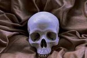 Spring 2024 - The Weeping Skull