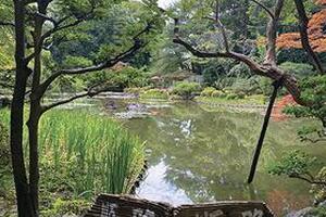 Through the Curtains –  Travel, Memory, and Desire