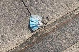 Spring 2025 - The Missing Dog from No. 102