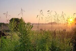 There’s Definitely a Numbing