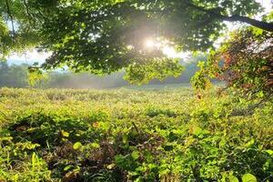 What would I do if I knew this was the end?