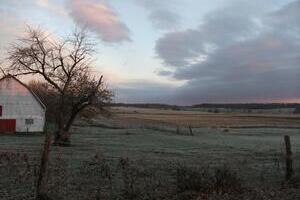 Fall 2024 - From the Editor