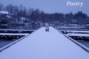 Winter 2024 - BPD Insurrection 