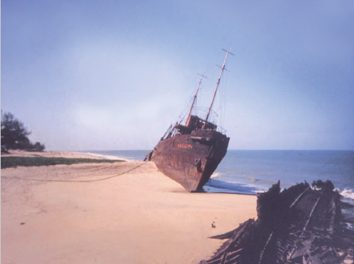 Summer 2025 - Mungzu Part 1